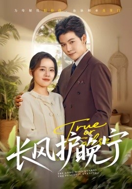 长风护晚宁全集