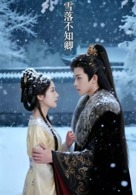 雪落不知卿全集