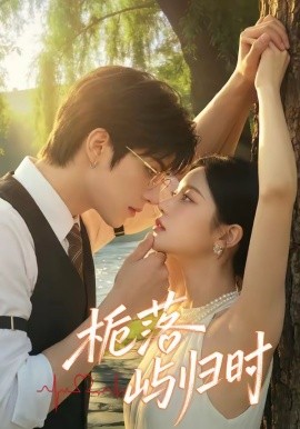 栀落屿归时全集