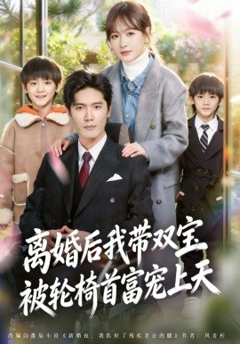 离婚后我带双宝被轮椅首富宠上天全集