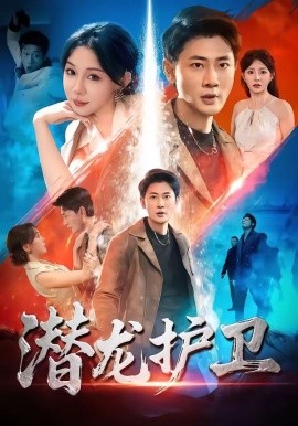 潜龙护卫全集